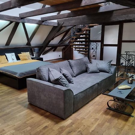 Galerie Vila Lucia 5 -Loft Apartman Plzeň Dış mekan fotoğraf