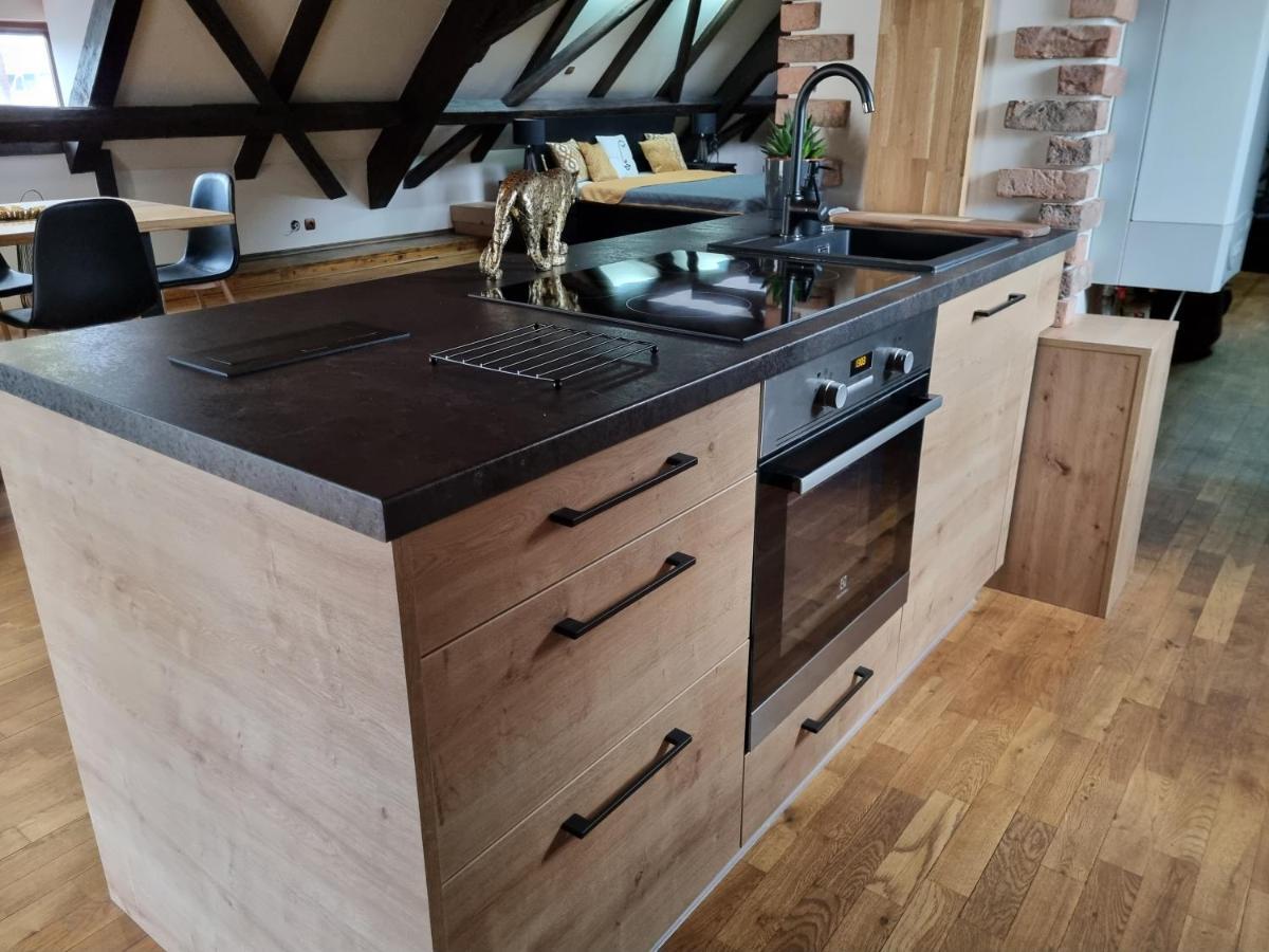 Galerie Vila Lucia 5 -Loft Apartman Plzeň Dış mekan fotoğraf