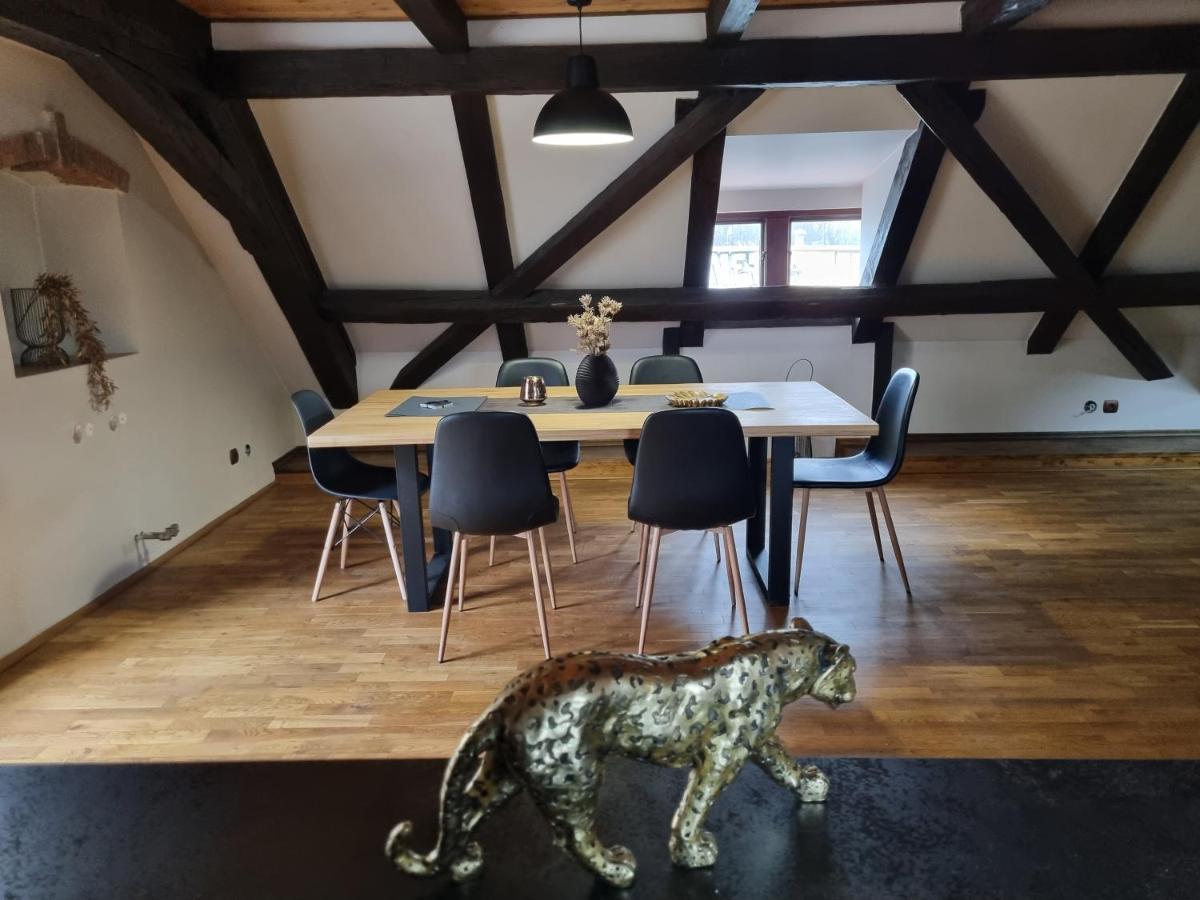 Galerie Vila Lucia 5 -Loft Apartman Plzeň Dış mekan fotoğraf