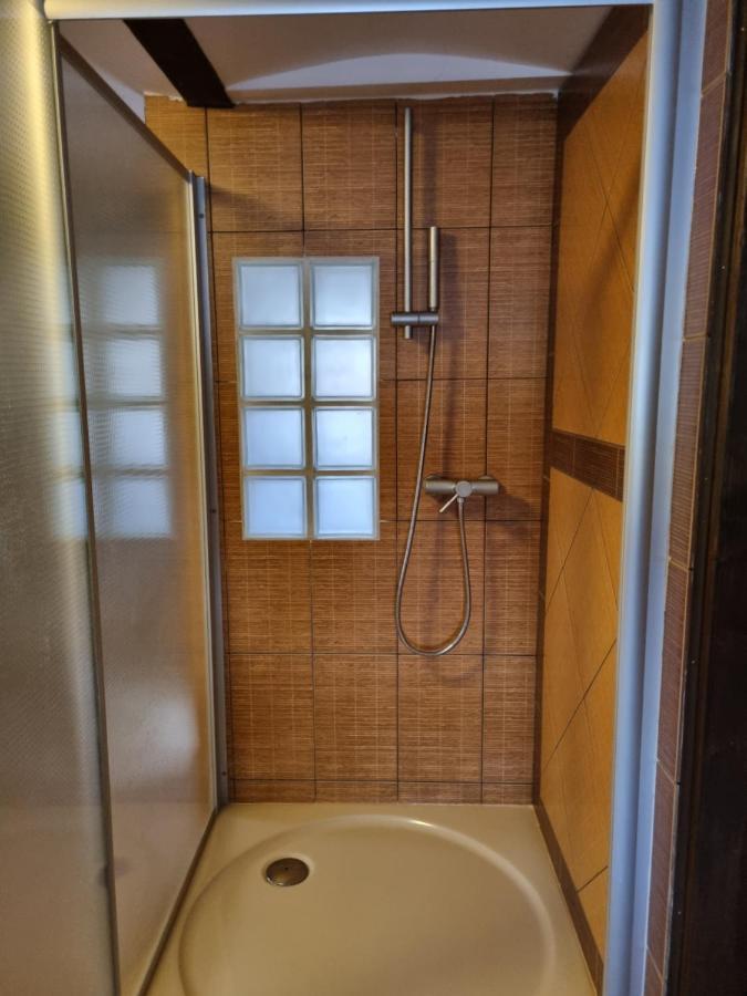 Galerie Vila Lucia 5 -Loft Apartman Plzeň Dış mekan fotoğraf